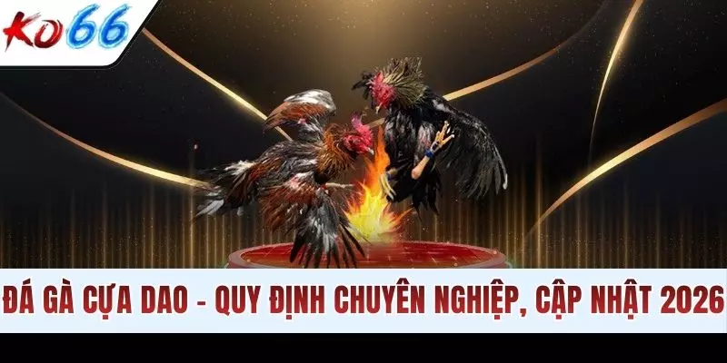 Đá Gà Cựa Dao - Quy Định Chuyên Nghiệp, Cập Nhật 2026