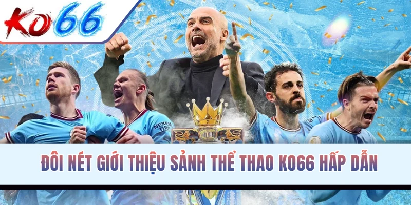 Đôi nét giới thiệu sảnh thể thao KO66 hấp dẫn